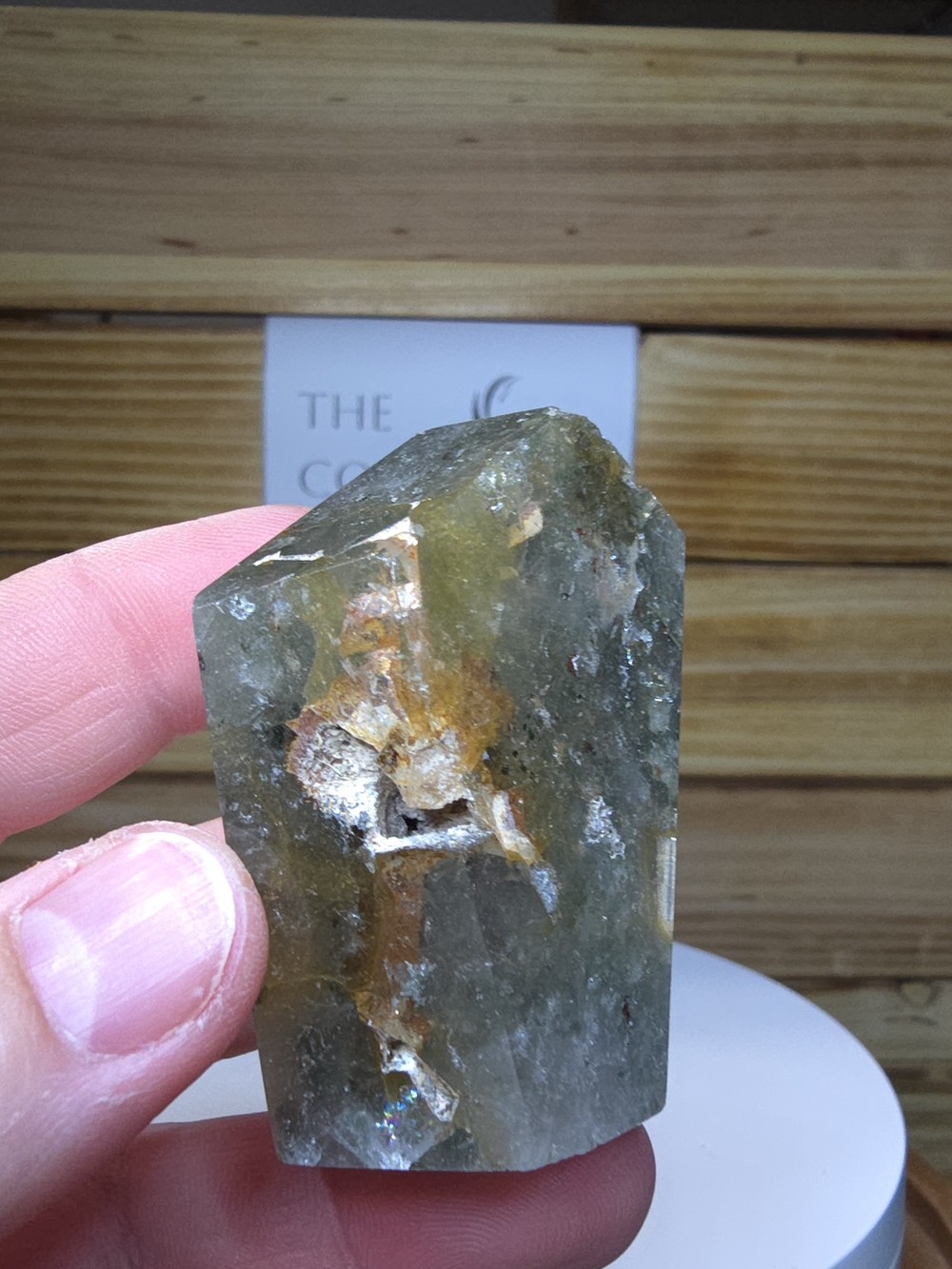 Garden Quartz / Lodolite Freeform